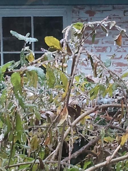 2013-12-07 10.52.16.jpg